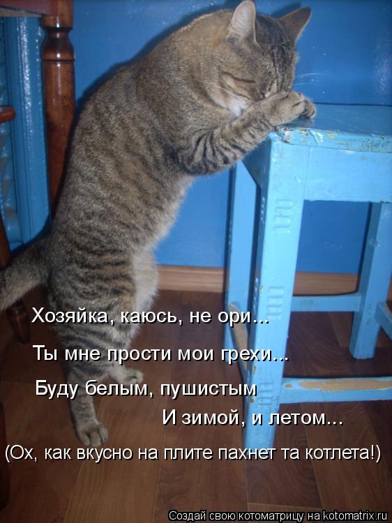 Хозяйка, каюсь, не ори... Ты мне прости мои грехи... Буду белым, пушистым И зимой, и летом... (Ох, к... Котоматрица: Хозяйка, каюсь, не ори... Ты мне прости мои грехи... Буду белым, пушистым И зимой, и летом... (Ох, как вкусно на плите пахнет та котлета!)