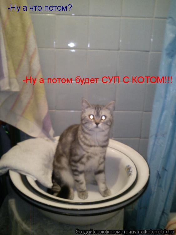 -Ну а что потом? -Ну а потом будет СУП С КОТОМ!!!... Котоматрица: -Ну а что потом? -Ну а потом будет СУП С КОТОМ!!!