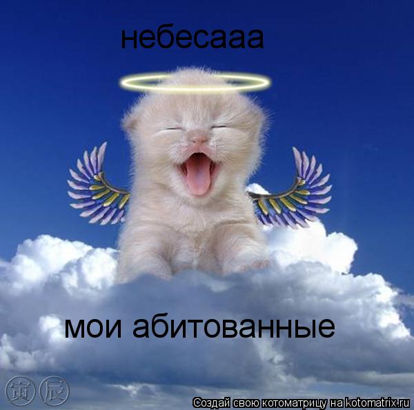 небесааа мои абитованные... Котоматрица: небесааа мои абитованные