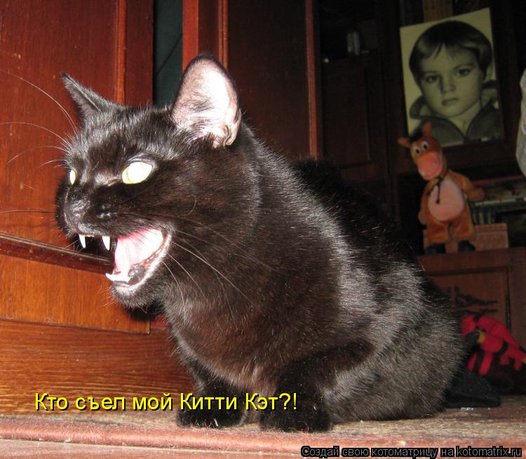 Кто съел мой Китти Кэт?!... Котоматрица: Кто съел мой Китти Кэт?!