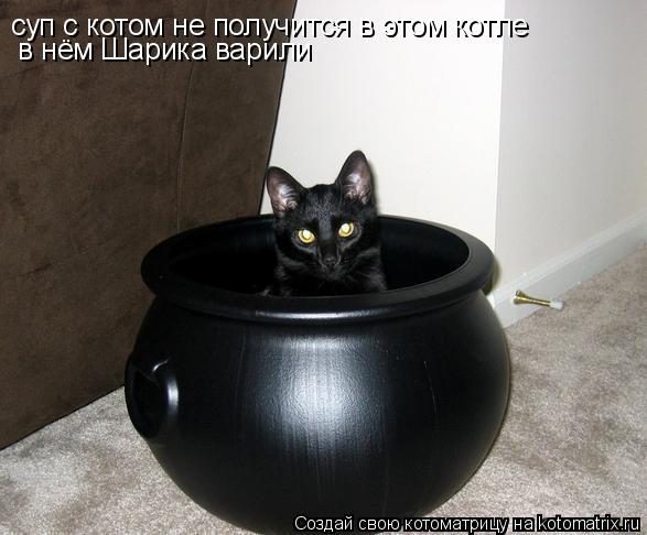 суп с котом не получится в этом котле в нём Шарика варили... Котоматрица: суп с котом не получится в этом котле в нём Шарика варили