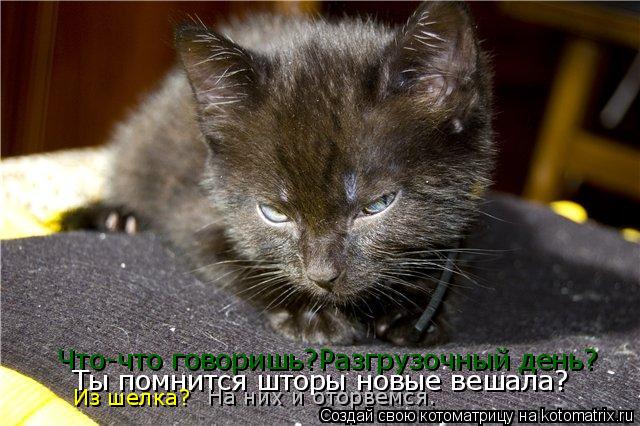 Что-что говоришь?Разгрузочный день? Ты помнится шторы новые вешала? Из шелка? На них и оторвемся.... Котоматрица: Что-что говоришь?Разгрузочный день? Ты помнится шторы новые вешала? Из шелка? На них и оторвемся.