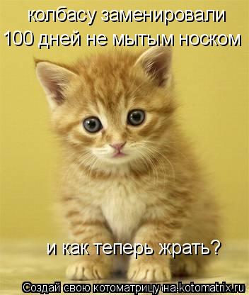 колбасу заменировали 100 дней не мытым носком и как теперь жрать?... Котоматрица: колбасу заменировали 100 дней не мытым носком и как теперь жрать?