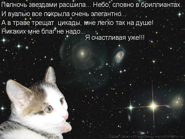 И вуалью все покрыла очень элегантно... Полночь звездами расшила... Небо, словно в бриллиантах… А в т... Котоматрица: И вуалью все покрыла очень элегантно... Полночь звездами расшила... Небо, словно в бриллиантах… А в траве трещат цикады, мне легко так на душ