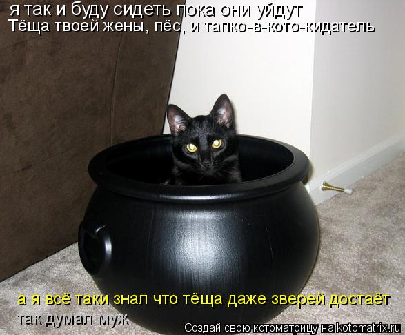 я так и буду сидеть пока они уйдут Тёща твоей жены, пёс, и тапко-в-кото-кидатель а я всё таки знал чт... Котоматрица: я так и буду сидеть пока они уйдут Тёща твоей жены, пёс, и тапко-в-кото-кидатель а я всё таки знал что тёща даже зверей достаёт так думал муж