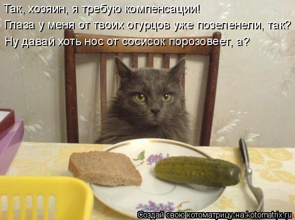 Так, хозяин, я требую компенсации! Глаза у меня от твоих огурцов уже позеленели, так? Ну давай хоть н... Котоматрица: Так, хозяин, я требую компенсации! Глаза у меня от твоих огурцов уже позеленели, так? Ну давай хоть нос от сосисок порозовеет, а?