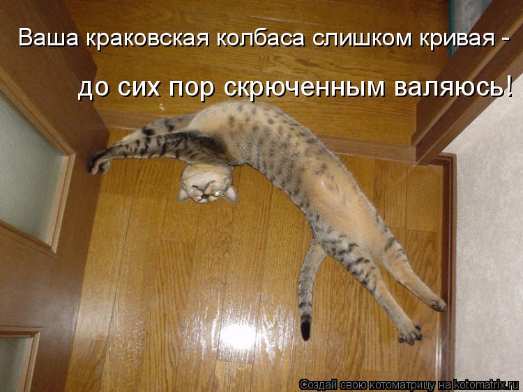 Ваша краковская колбаса слишком кривая - до сих пор скрюченным валяюсь!... Котоматрица: Ваша краковская колбаса слишком кривая - до сих пор скрюченным валяюсь!