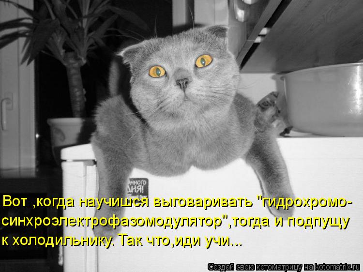 Котоматрица: Вот ,когда научишся выговаривать "гидрохромо- синхроэлектрофазомодулятор",тогда и подпущу к холодильнику. Так что,иди учи...