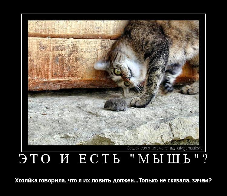 а они ловили его и говорили а они ловили его и говорили