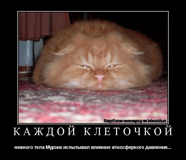 Котоматрица: Каждой клеточкой нежного тела Мурзик испытывал влияние атмосферного давления...