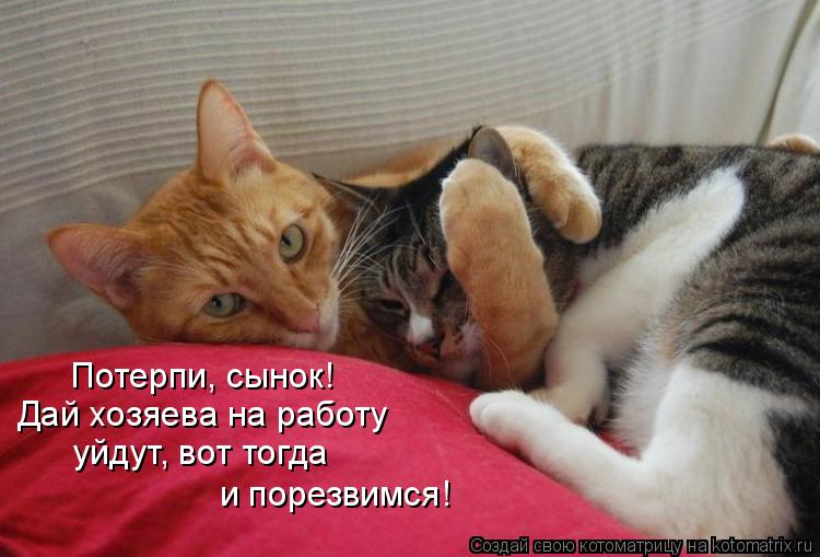 Котоматрица: Потерпи, сынок! Дай хозяева на работу  уйдут, вот тогда  и порезвимся!