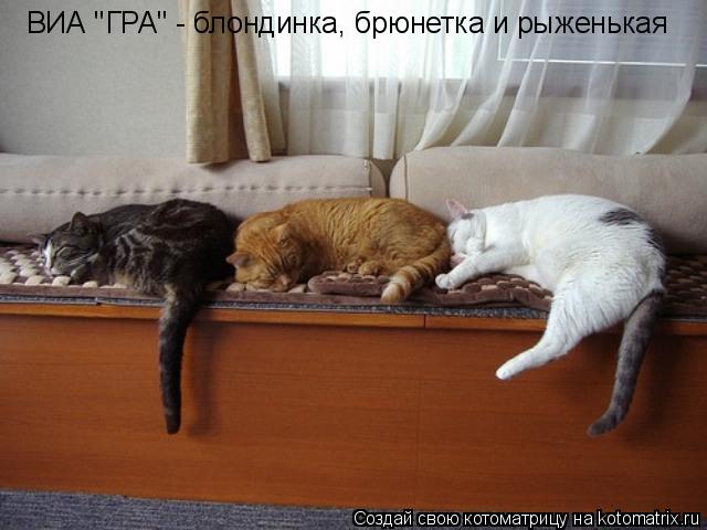 Котоматрица: ВИА "ГРА" - блондинка, брюнетка и рыженькая