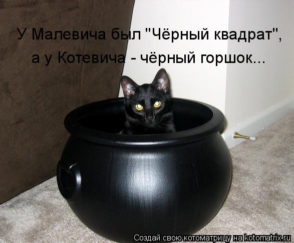 У Малевича был "Чёрный квадрат", а у Котевича - чёрный горшок...... Котоматрица: У Малевича был "Чёрный квадрат", а у Котевича - чёрный горшок...