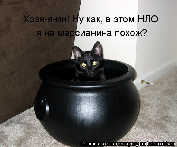 Хозя-я-ин! Ну как, в этом НЛО я на марсианина похож?... Котоматрица: Хозя-я-ин! Ну как, в этом НЛО я на марсианина похож?