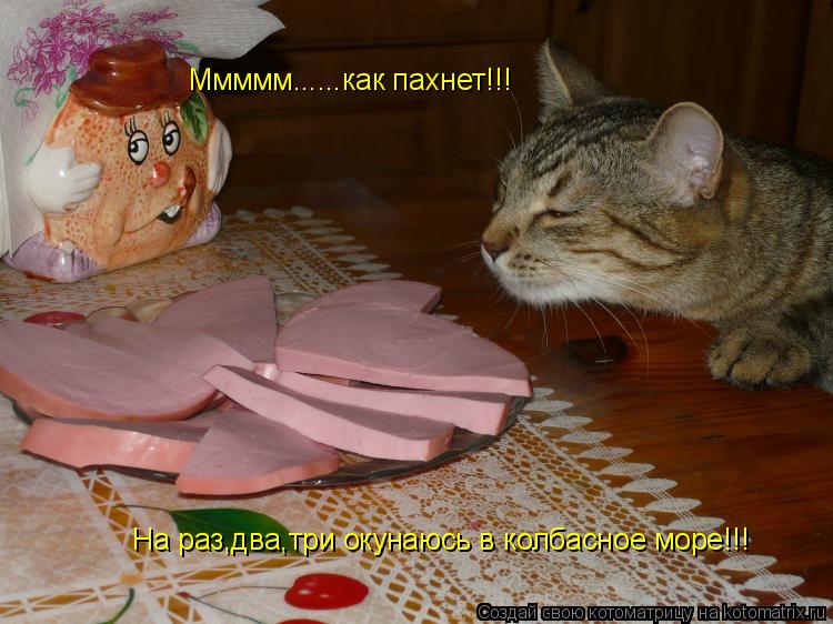 Ммммм......как пахнет!!! На раз,два,три окунаюсь в колбасное море!!!... Котоматрица: Ммммм......как пахнет!!! На раз,два,три окунаюсь в колбасное море!!!