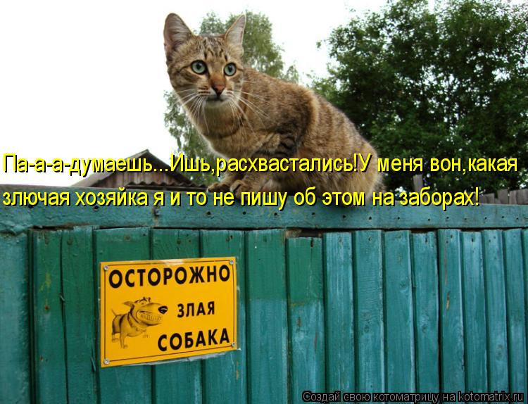 Котоматрица: Па-а-а-думаешь...Ишь,расхвастались!У меня вон,какая  злючая хозяйка я и то не пишу об этом на заборах!