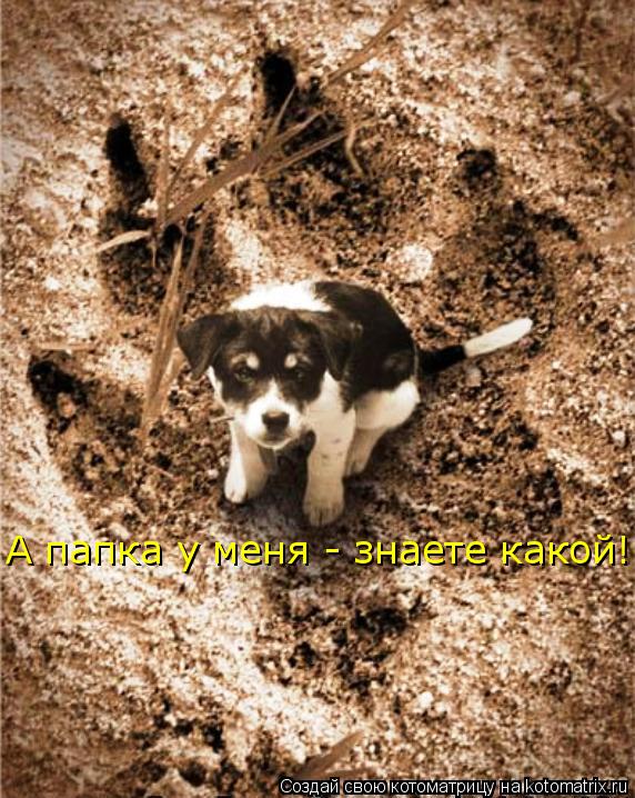 Котоматрица: А папка у меня - знаете какой!