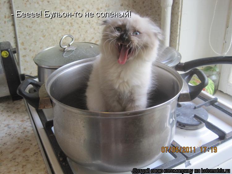 Котоматрица: - Бееее! Бульон-то не солёный!