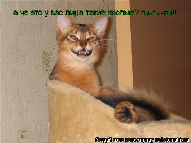 Котоматрица: а чё это у вас лица такие кислые? гы-гы-гы!!