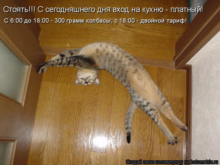 Котоматрица: Стоять!!! С сегодняшнего дня вход на кухню - платный! С 6:00 до 18:00 - 300 грамм колбасы, с 18:00 - двойной тариф!