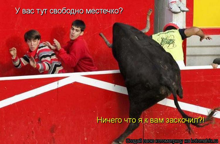 Котоматрица: У вас тут свободно местечко? Ничего что я к вам заскочил?!