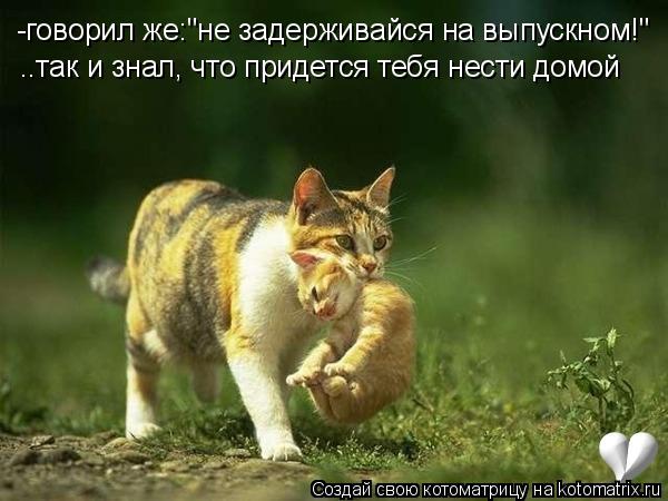 Котоматрица: -говорил же:"не задерживайся на выпускном!" ..так и знал, что придется тебя нести домой