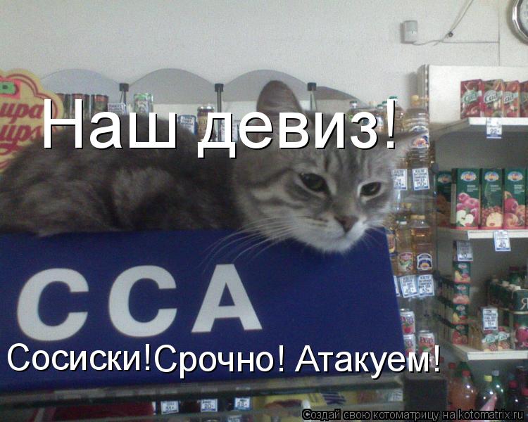 Котоматрица: Наш девиз! Сосиски! Срочно! Атакуем!