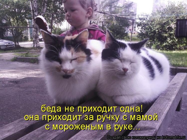 беда не приходит одна! она приходит за ручку с мамой с мороженым в руке...... Котоматрица: беда не приходит одна! она приходит за ручку с мамой с мороженым в руке...