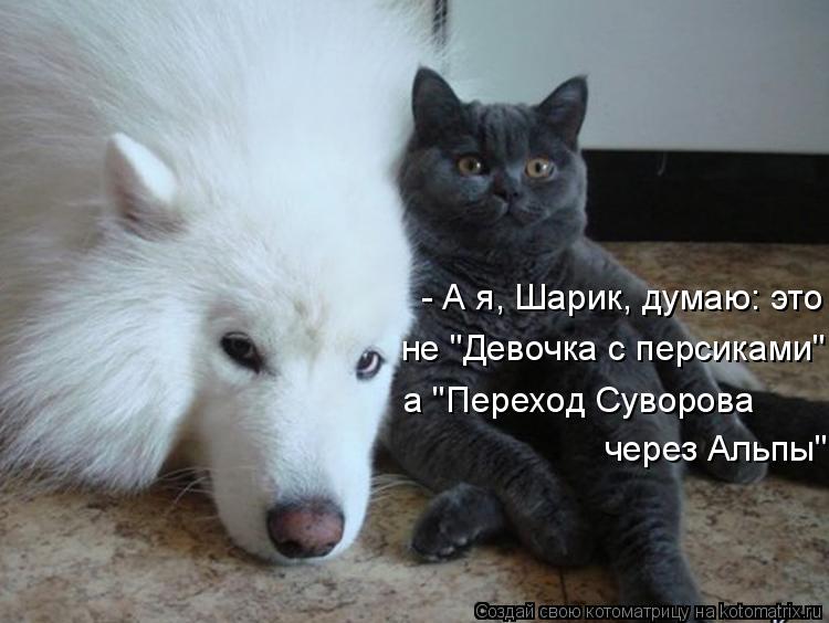 а "Переход Суворова через Альпы" не "Девочка с персиками", - А я, Шарик, думаю: это... Котоматрица: а "Переход Суворова через Альпы" не "Девочка с персиками", - А я, Шарик, думаю: это
