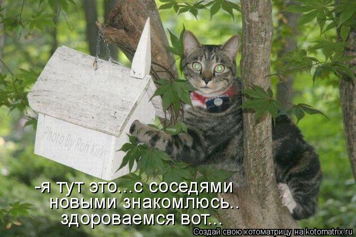 Котоматрица: -я тут это...с соседями новыми знакомлюсь.. здороваемся вот...