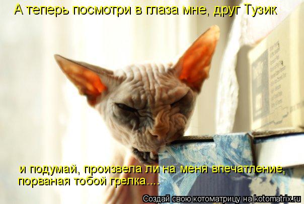 Котоматрица: А теперь посмотри в глаза мне, друг Тузик порваная тобой грелка.... и подумай, произвела ли на меня впечатление,