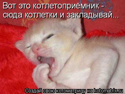 Котоматрица: Вот это котлетоприёмник - сюда котлетки и закладывай...