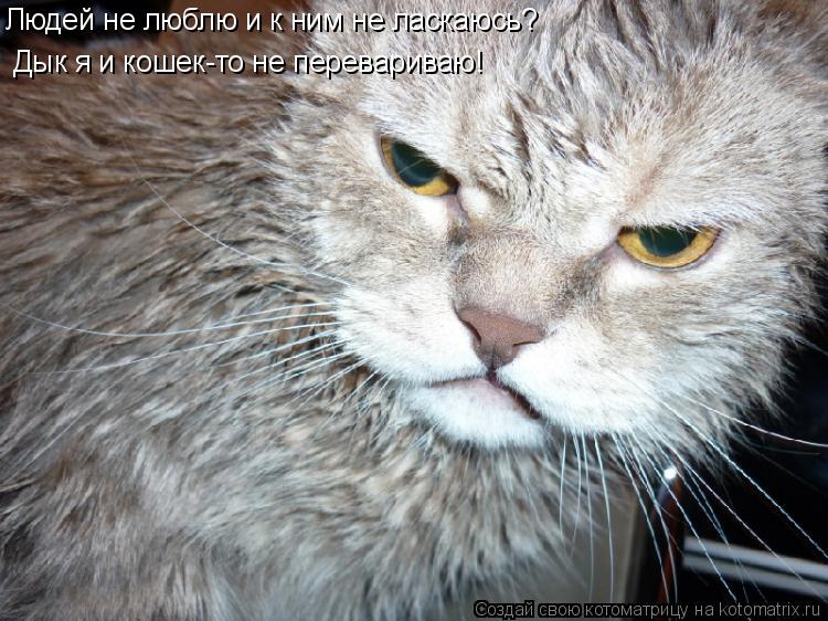 Котоматрица: Дык я и кошек-то не перевариваю! Людей не люблю и к ним не ласкаюсь?
