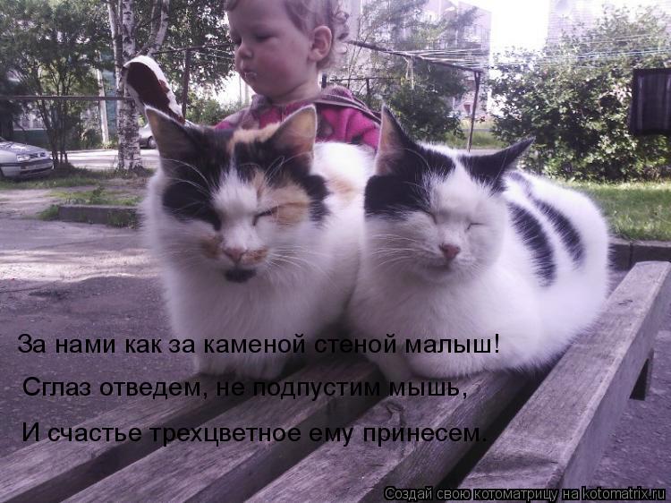 Котоматрица: За нами как за каменой стеной малыш! Сглаз отведем, не подпустим мышь, И счастье трехцветное ему принесем.