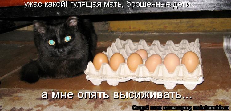 Котоматрица: ужас какой! гулящая мать, брошенные дети.. а мне опять высиживать...