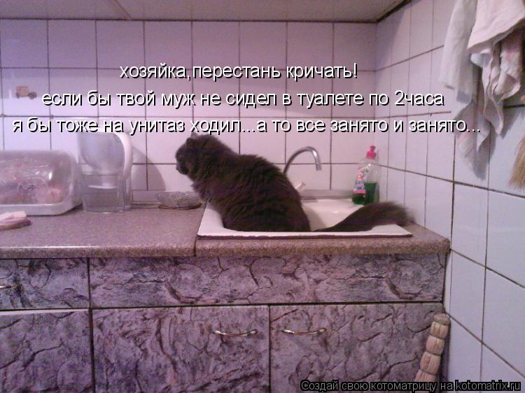 Котоматрица: если бы твой муж не сидел в туалете по 2часа хозяйка,перестань кричать! я бы тоже на унитаз ходил...а то все занято и занято...