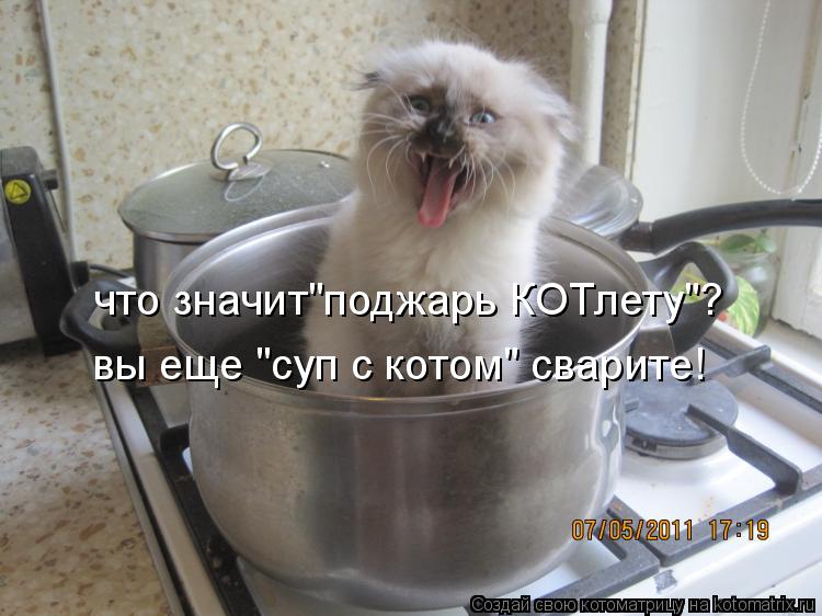 Котоматрица: что значит"поджарь КОТлету"? вы еще "суп с котом" сварите!
