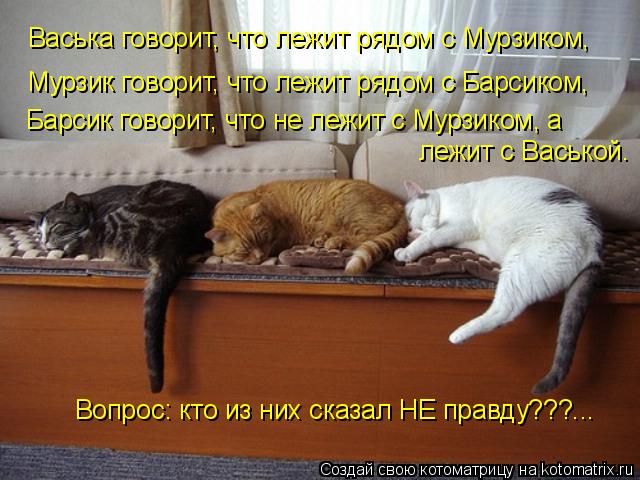 Котоматрица: Васька говорит, что лежит рядом с Мурзиком, Мурзик говорит, что лежит рядом с Барсиком, Барсик говорит, что не лежит с Мурзиком, а лежит с Вас