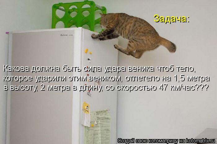 Котоматрица: Задача: Какова должна быть сила удара веника чтоб тело, которое ударили этим веником, отлетело на 1,5 метра в высоту, 2 метра в длину, со скорос