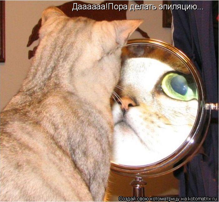 Котоматрица: Даааааа!Пора делать эпиляцию...