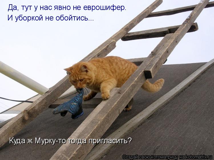 Котоматрица: Да, тут у нас явно не еврошифер. И уборкой не обойтись... Куда ж Мурку-то тогда пригласить?