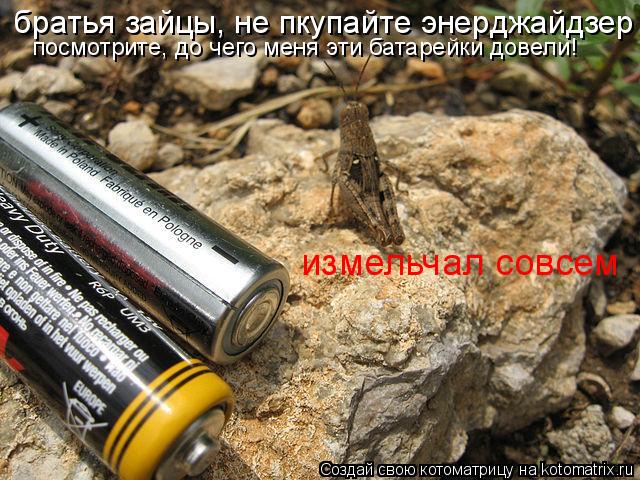 Котоматрица: братья зайцы, не пкупайте энерджайдзер посмотрите, до чего меня эти батарейки довели! измельчал совсем