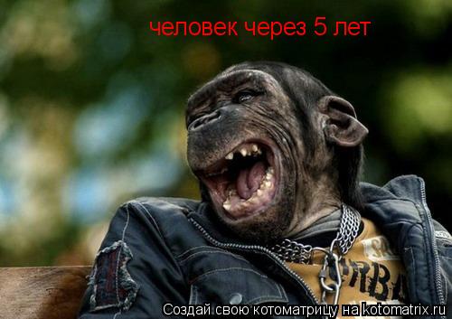 Котоматрица: человек через 5 лет