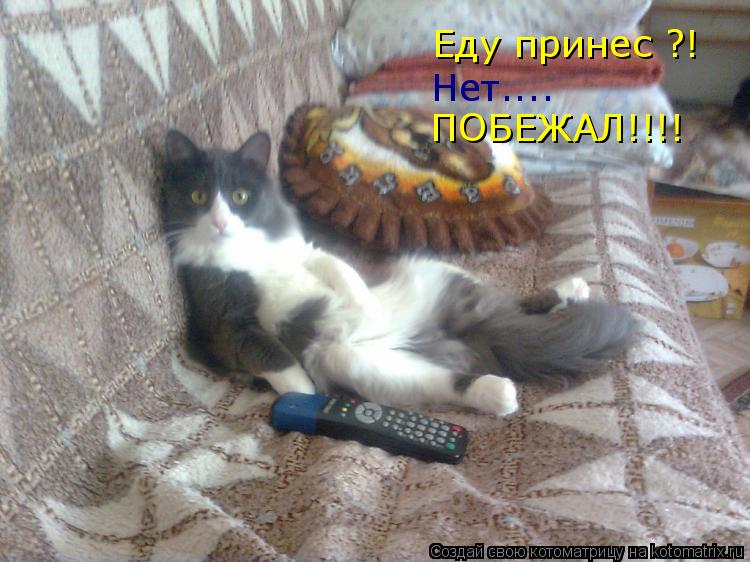 Котоматрица: Еду принес ?! Нет.... ПОБЕЖАЛ!!!!