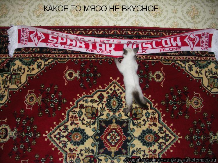 Котоматрица: КАКОЕ ТО МЯСО НЕ ВКУСНОЕ.