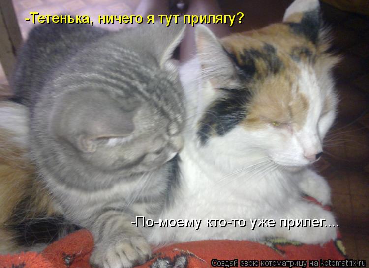 -Тетенька, ничего я тут прилягу? -По-моему кто-то уже прилег....... Котоматрица: -Тетенька, ничего я тут прилягу? -По-моему кто-то уже прилег....
