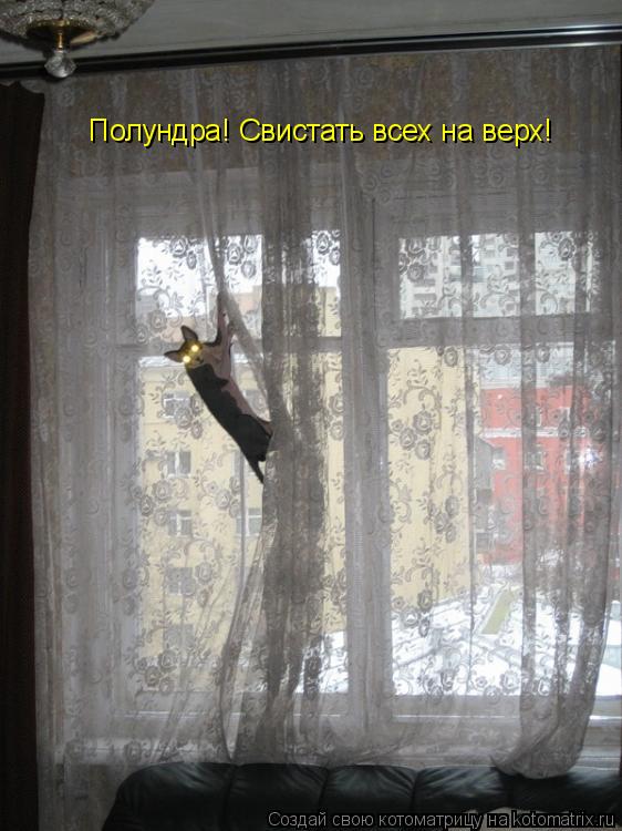 Полундра! Свистать всех на верх!... Котоматрица: Полундра! Свистать всех на верх!