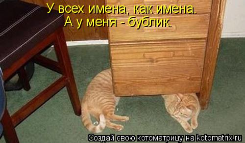 У всех имена, как имена. А у меня - бублик.... Котоматрица: У всех имена, как имена. А у меня - бублик.