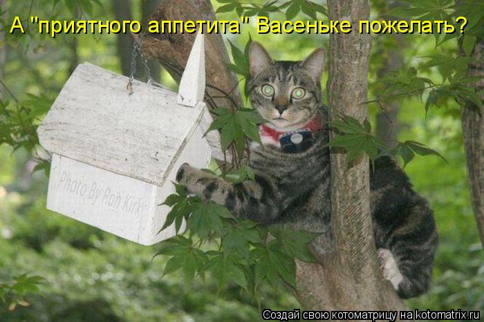 А "приятного аппетита" Васеньке пожелать?... Котоматрица: А "приятного аппетита" Васеньке пожелать?