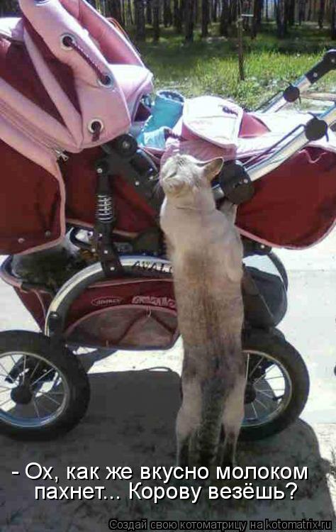 - Ох, как же вкусно молоком пахнет... Корову везёшь?... Котоматрица: - Ох, как же вкусно молоком пахнет... Корову везёшь?